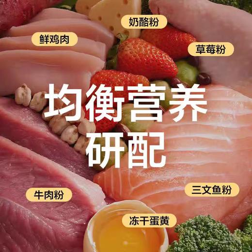 网易严选 全价三拼犬粮 商品图2