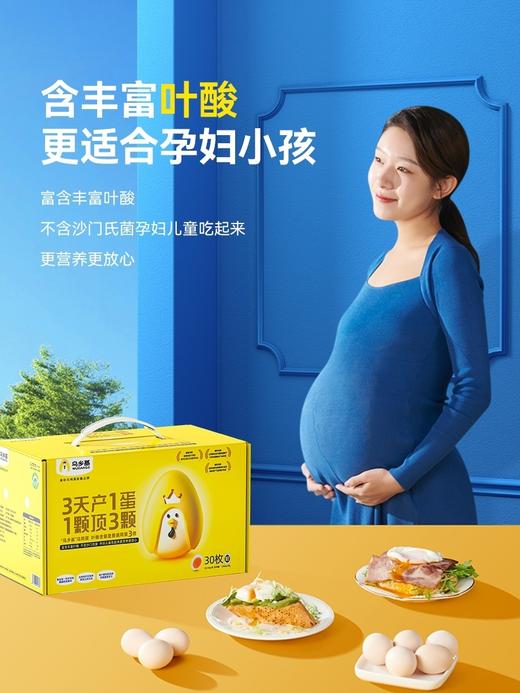 原种泰和乌鸡蛋 商品图0