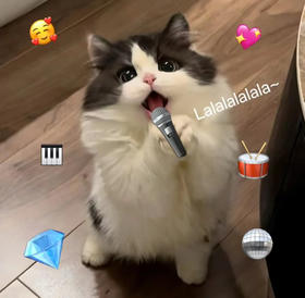 临时链接2瓶+泡脚 89+39.9