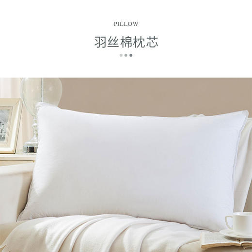 HZ羽丝棉枕芯 酒店款 1350g 80*50cm 商品图1