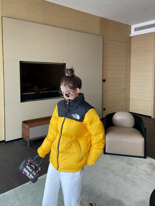 The North Face北面1996系列羽绒服男女同款 商品图5