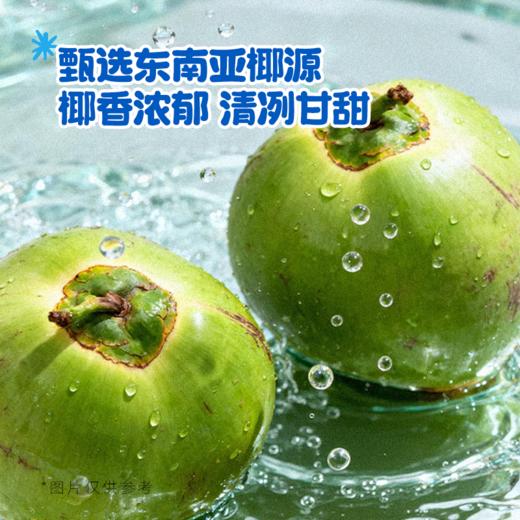 【节日礼盒】可可满分 椰子水礼盒 330ml*8 1提装/2提装（赠吨吨杯1） 商品图2