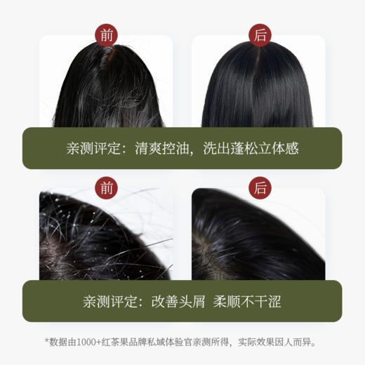 红茶果山茶去屑控油洗发水460g 商品图6