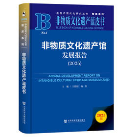 非物质文化遗产馆发展报告（2025） 蓝皮书 王晨阳 杨红 主编 社会科学文献出版社官方正版直发