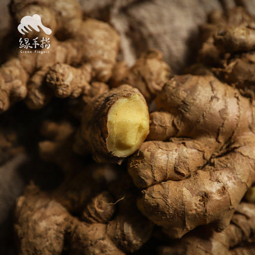 生态小黄姜 （包邮,8.7折起）| 绿家自产* Organic ginger  | Self-production 商品图1