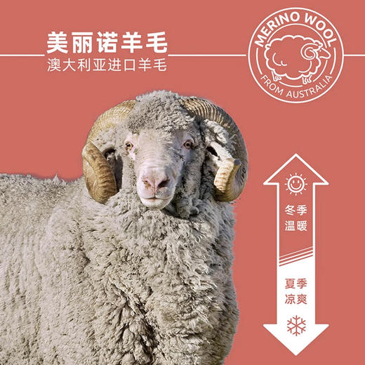 赛乐ZEALWOOD运动遮阳帽美丽诺羊毛防晒棒球帽户外运动盆帽 商品图5