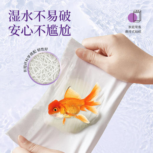 热销—升级 维尔美底部抽3提装-5层  （456抽-送挂钩）EWGA520-3 商品图2