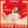 广州清远鸡 自然馈赠 品味鲜美 商品缩略图1