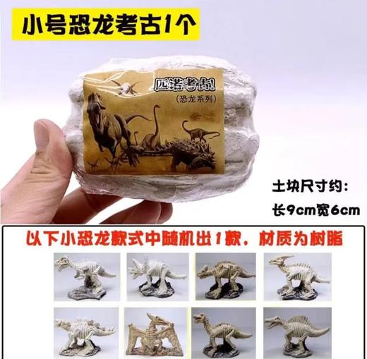 【5F】心乐园 考古盲盒 小小考古学家 商品图2