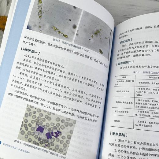 医学检验与临床 : 从报告到诊疗 商品图1