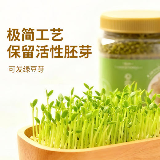 时令堂有机绿豆750g 商品图4