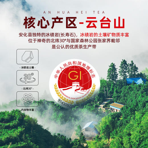 茶马世家 安化黑茶 茯砖颗粒 216g礼盒装 商品图1