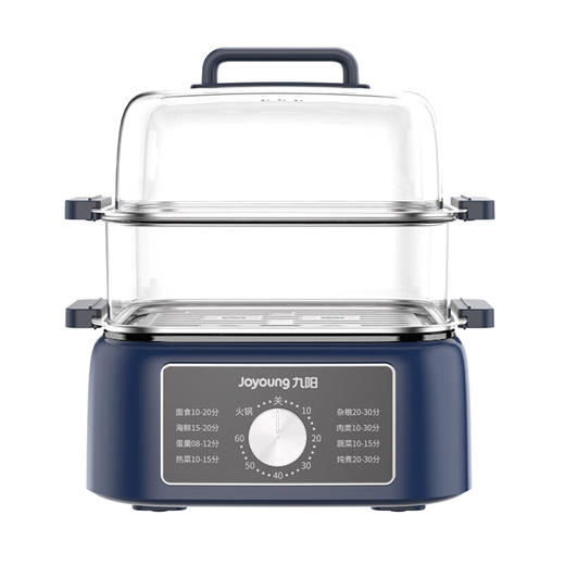 九阳电蒸锅DZ100HG-GZ666 商品图0