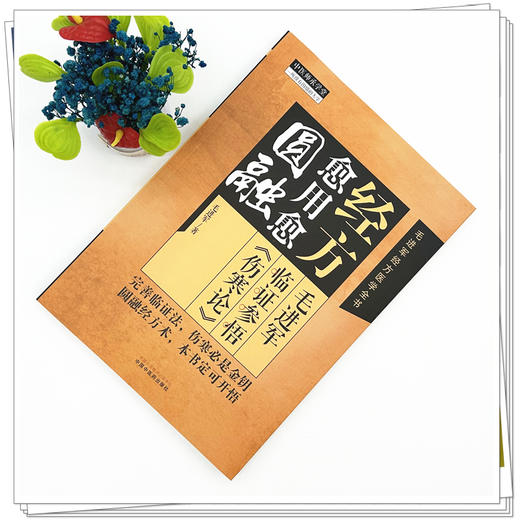 经方愈用愈圆融:毛进军临证参悟《伤寒论》 毛进军 著 毛进军经方医学全书 中医师承学堂 中国中医药出版社 特异性方证 伤寒论书籍 商品图1