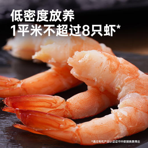 彩虹星球|有机熟冻盐田虾 商品图2