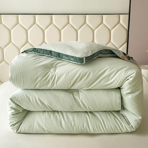 minmin潘帕斯羊绒被被子被芯 四季可用子母被 商品图2