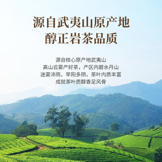 佰棠 肉桂 武夷岩茶 果香肉桂 茶叶 255克 商品图2