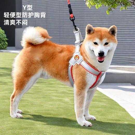 轻量化狗狗牵引绳 马鞍式宠物胸背带 透气反光不勒牢固宠物牵引绳 狗绳 商品图1