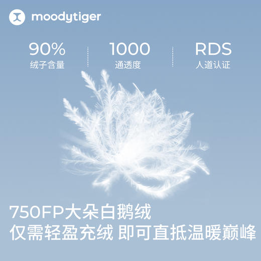 男女童冬季压胶加厚保暖防风鹅羽绒服54110704/54210704 商品图8