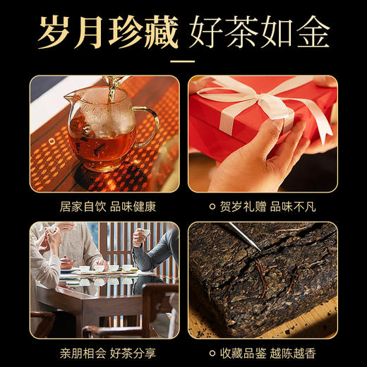 茶马世家 荒野天尖 芙蓉主峰产区 安化黑茶一级300g 礼赠佳品 商品图6