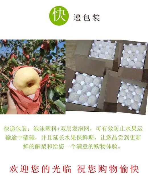 陕西酥梨大果家庭共享包邮直发 【NB】 商品图6