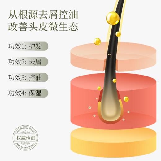 红茶果山茶去屑控油洗发水460g 商品图3