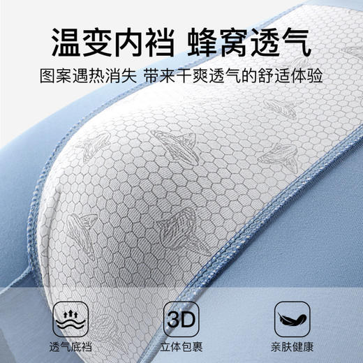 正气琅琅 男士内裤 3条装(VIP)3条装【莫代尔 高弹无痕】高弹舒适无痕男士平角内裤 商品图3