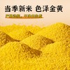 新品上市    蒙清有机小香米2.5kg    【 新米上市 】农家小米 商品缩略图1
