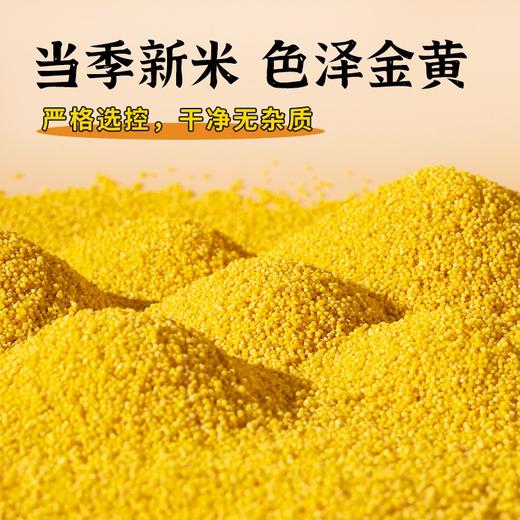 新品上市    蒙清有机小香米2.5kg    【 新米上市 】农家小米 商品图1