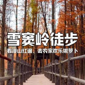 【亲子营】特惠￥99 | 周末1日赏景雪窦岭，水杉秘境与古道徒步，去农家拔萝卜更欢乐~
