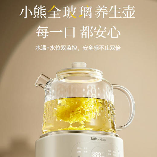 【快递】小熊全玻璃养生壶1升 YSH-P10Q7 商品图1