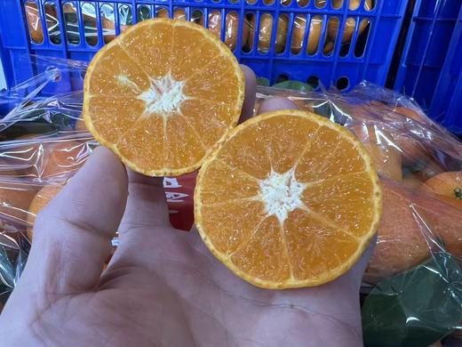 周四取货:【迦密甜橙】一份4斤左右，超甜！水份多！果肉超细腻！ 商品图3
