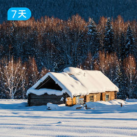 新疆冰雪季｜雪国阿勒泰 喀纳斯三湾徒步 穿越泰加林雪原秘境 7日