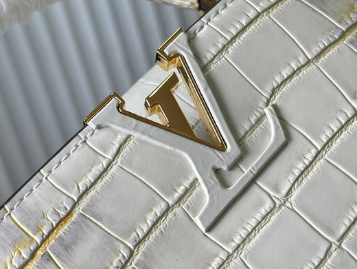 秋冬特惠💰1500 渠道级LV 新品 te级LV N93163/M48865喜马拉雅鳄鱼纹 商品图3