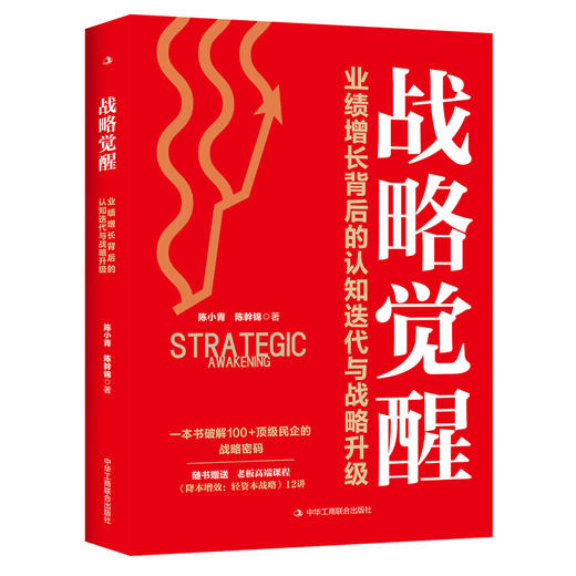 战略觉醒：业绩增长背后的认知迭代与战略升级 商品图0