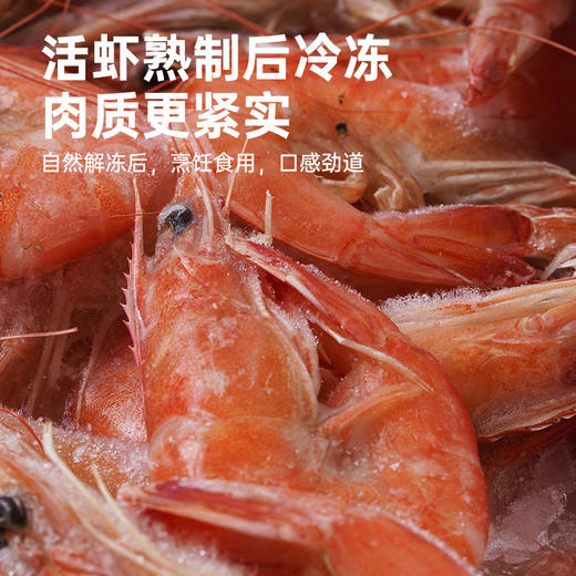 彩虹星球|有机熟冻盐田虾 商品图5