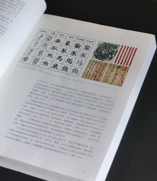 特惠：《中国图像文化史》，16开，平装，31册，韩丛耀主编，中国摄影出版社出版，出版年份不一，定价6138，售价1939元。品9-95成。仅两套。 商品图2