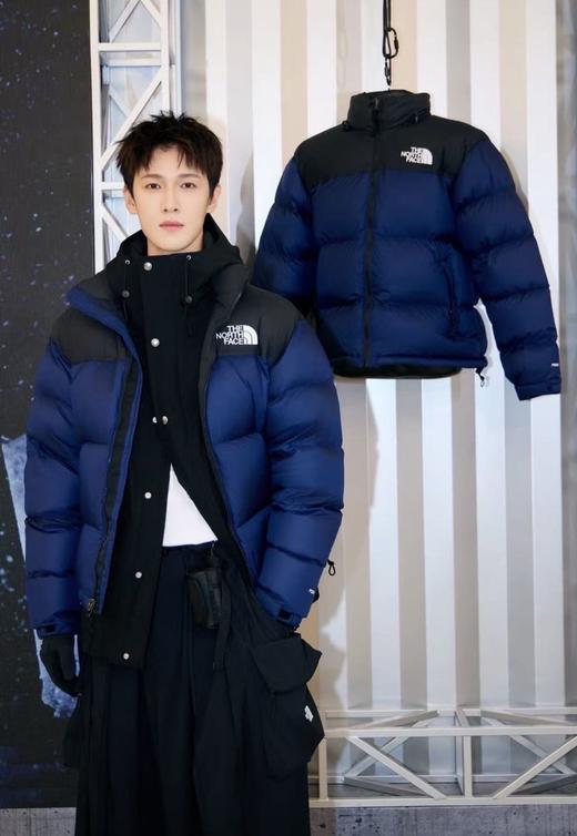 The North Face北面1996系列羽绒服男女同款 商品图1