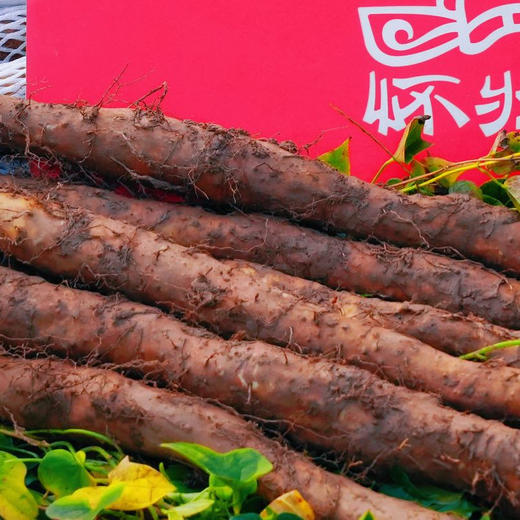 【优琦】铁棍山药彩箱家庭装  4.5斤
（彩箱绿色认证） 商品图2