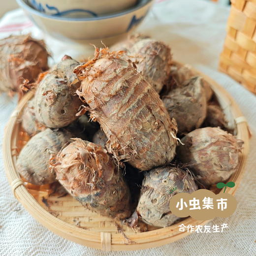 从化生态红芽芋 5斤 | 合作农友生产，产自广东从化，生产者：李洁和杨建锋及家人*【公平贸易农人定价】 商品图9