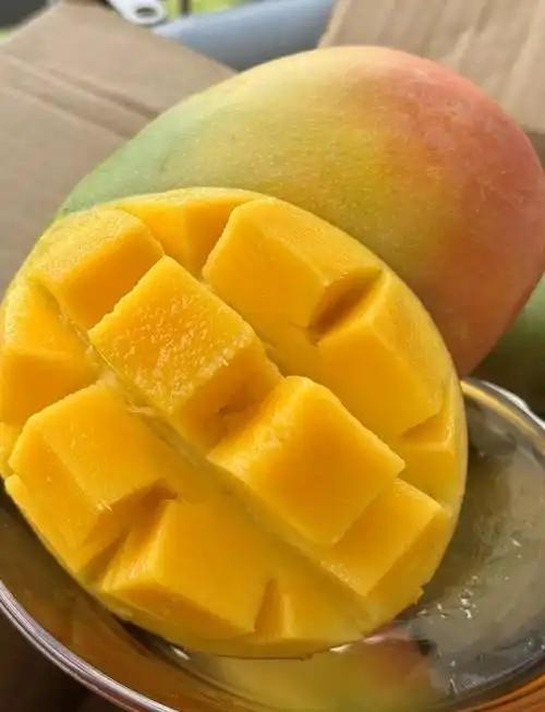 【新鲜】水果芒果  凯特芒9.9一斤约900g/个多退少补，七分熟，25度以上地方放置2-3天熟后食用甜度更佳 商品图0