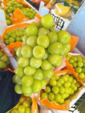 【新鲜】水果阳光玫瑰葡萄大果12.8一斤，3.2斤左右一串  多退少补