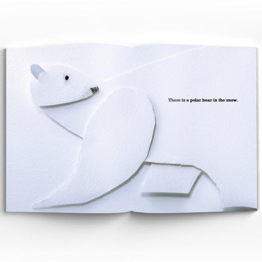 A Polar Bear in the Snow 雪地里的北极熊 精装原版引进 商品图3