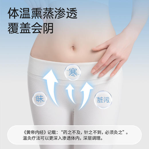 【润芯贴】草本植萃润芯贴排脏净养垫家用女士养护雪莲贴12片/盒 商品图1