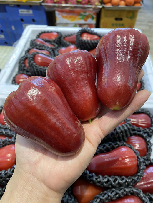 【宏丰精选】 莲雾 水果界的“神仙水”，闭上眼睛都能感受到甘冽的清甜味，活动价29.8元一斤 商品图2