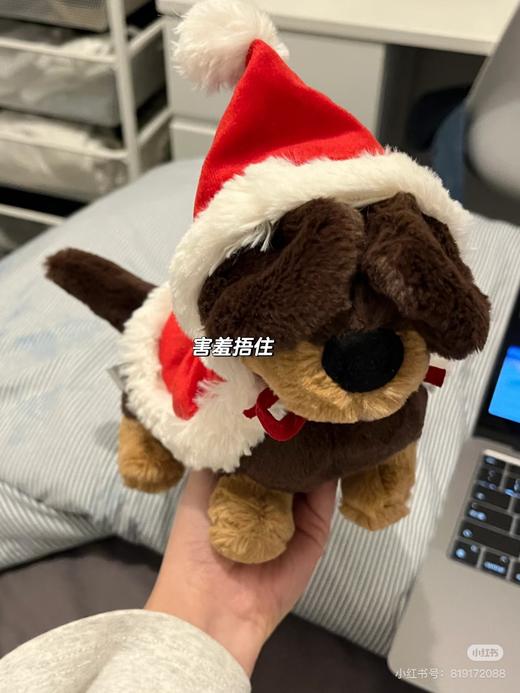 JC圣诞披风腊肠狗 玩偶公仔 商品图7