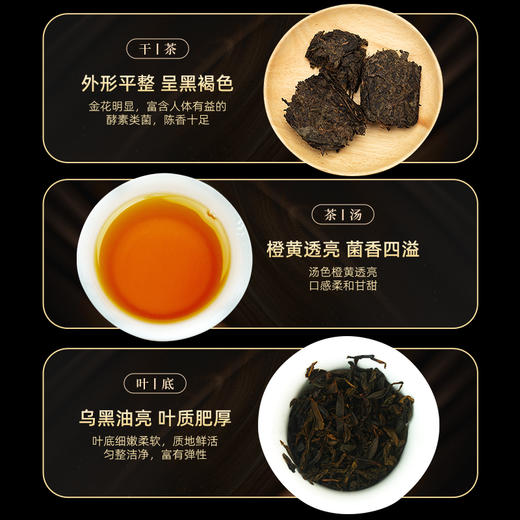 茶马世家 仁义礼智信安化黑茶金花茯砖2kg 礼盒装 商品图4