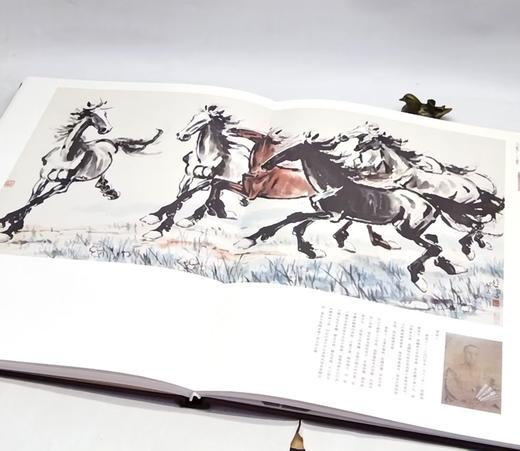 捡漏！！《徐悲鸿南洋遗作画集：悲鸿遗韵三编+续编》，作者: 刘建业 编，西泠印社，2015-2016一版一印，单本定价：580，总定价：1160，售价：388 商品图9