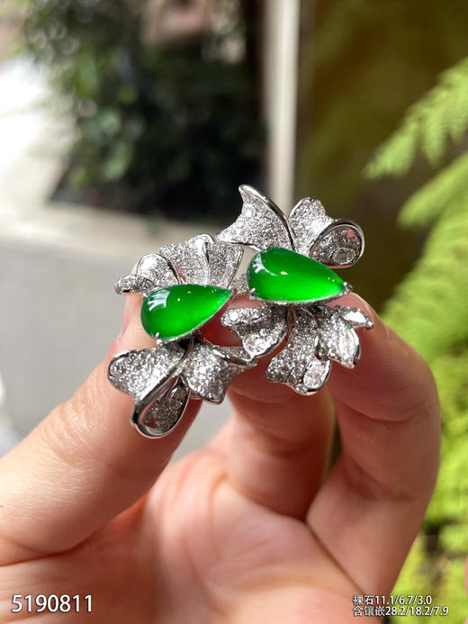 蝴蝶结耳钉【5190811】具体价格微信咨询 商品图5