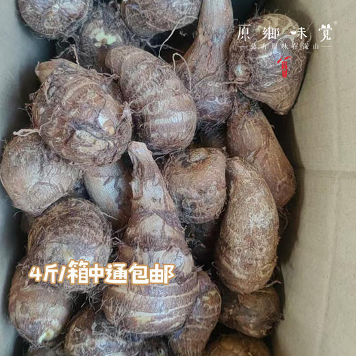 【现挖，排单发货】生态鸡蛋芋头（基地直发-中通包邮）|4斤/箱，来自云南大理州，生产者：谢雪梅【合作生产，公平贸易】 商品图3